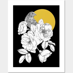 Bird, Roses and Moon Posters and Art